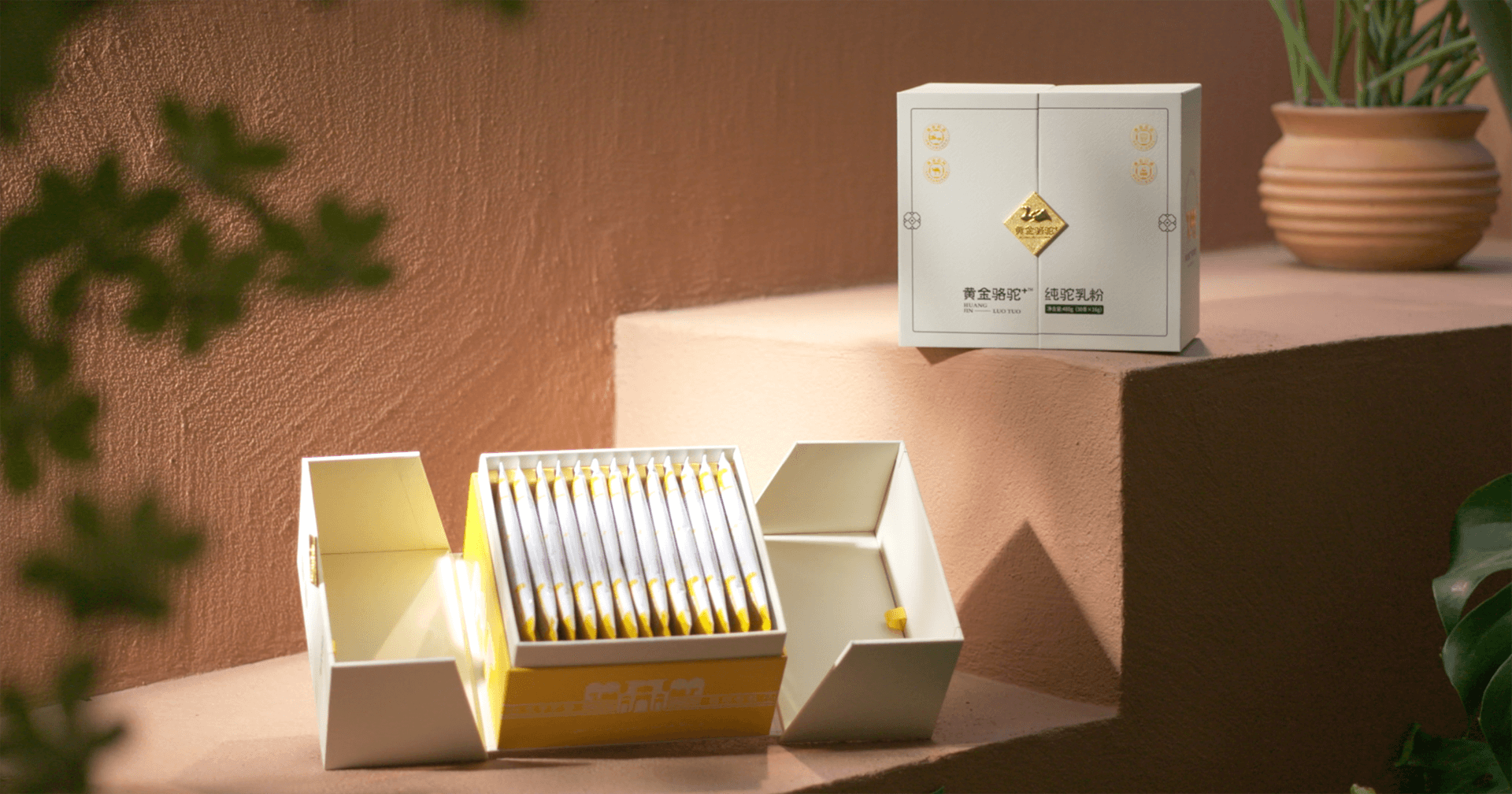 定位小众高端乳粉，AG贵宾会推出驼奶品牌“黄金骆驼+”，角逐乳品新市场！
